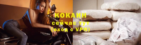 дживик Абинск